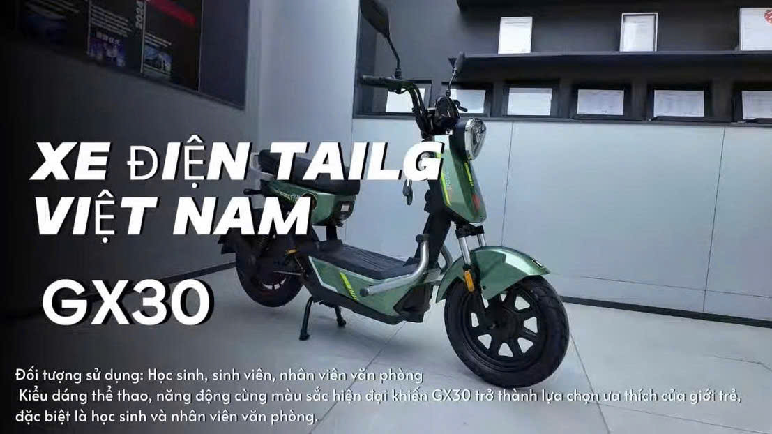 Đánh Giá Xe Đạp Điện Tailg GX30 XBull Mạnh Mẽ Cá Tính