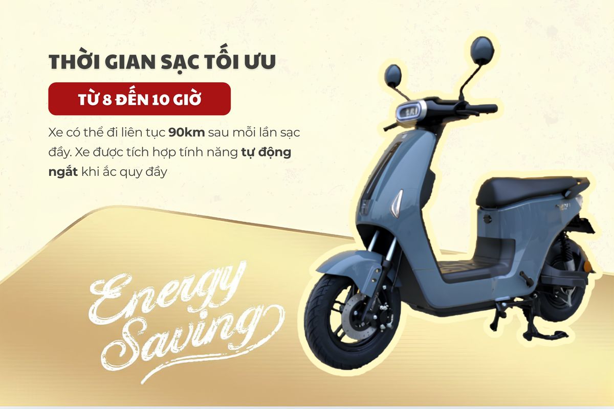 Xe đạp điện Dibao Ryan - Thế Giới Xe Điện