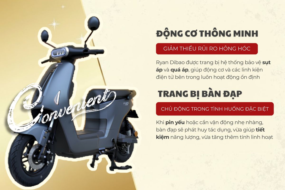 Xe đạp điện Dibao Ryan - Thế Giới Xe Điện
