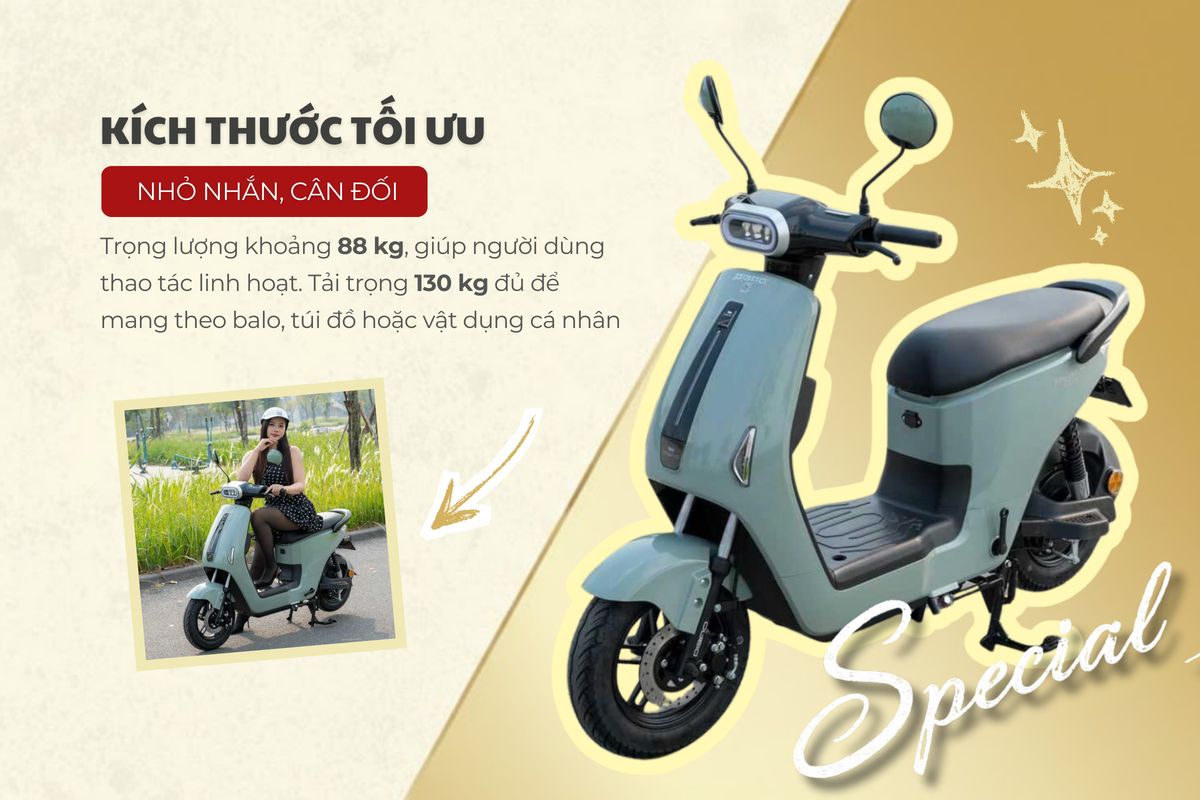 Xe đạp điện Dibao Ryan - Thế Giới Xe Điện