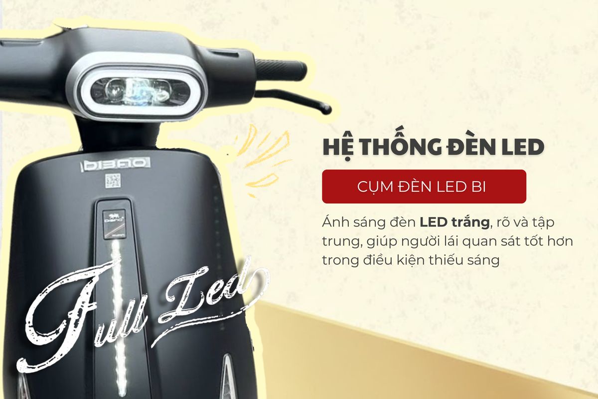 Xe đạp điện Dibao Ryan - Thế Giới Xe Điện