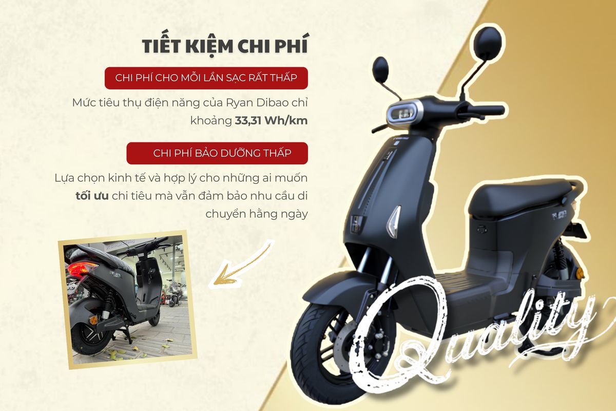 Xe đạp điện Dibao Ryan - Thế Giới Xe Điện