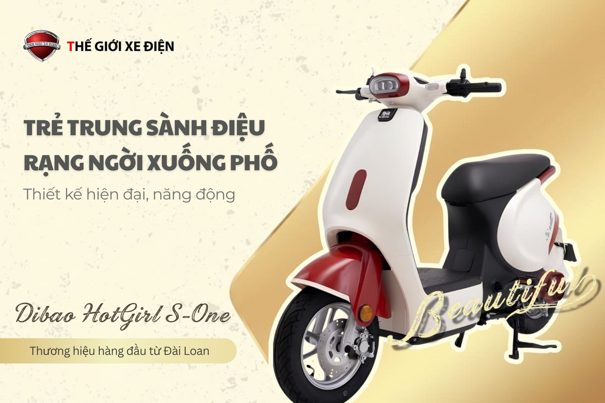 Xe đạp điện Dibao S-One - Thế Giới Xe Điện