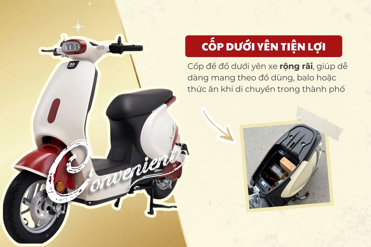 Xe đạp điện Dibao S-One - Thế Giới Xe Điện