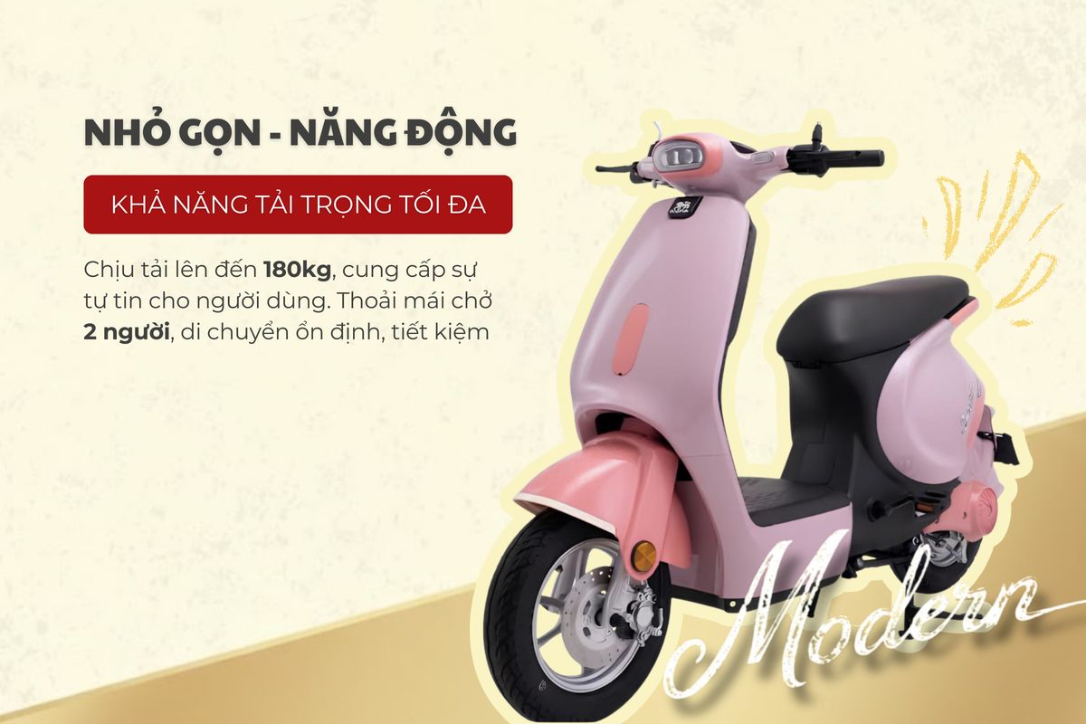 Xe đạp điện Dibao S-One - Thế Giới Xe Điện