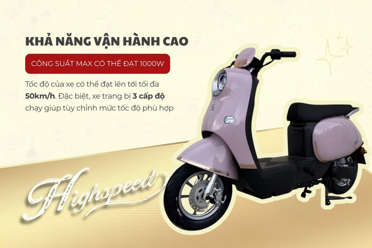 Xe Đạp Điện Dibao Rosa - Thế Giới Xe Điện