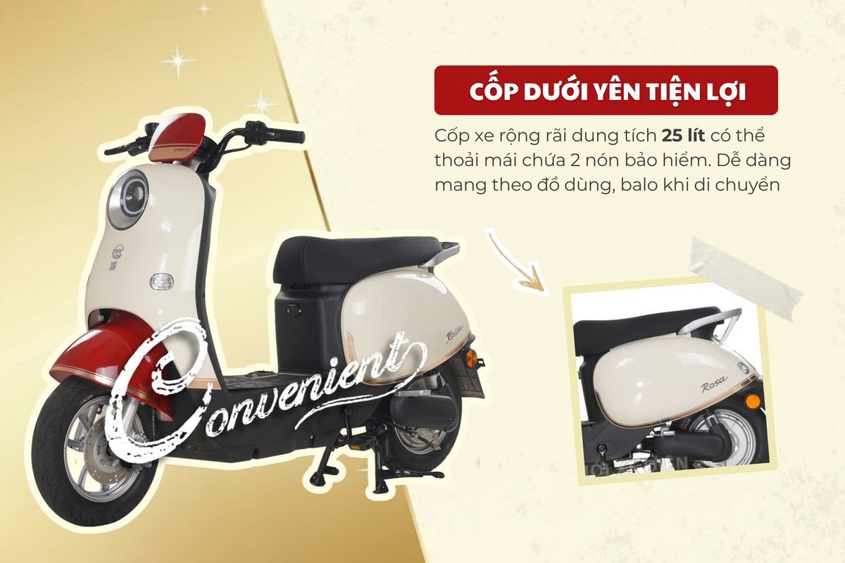 Xe Đạp Điện Dibao Rosa - Thế Giới Xe Điện