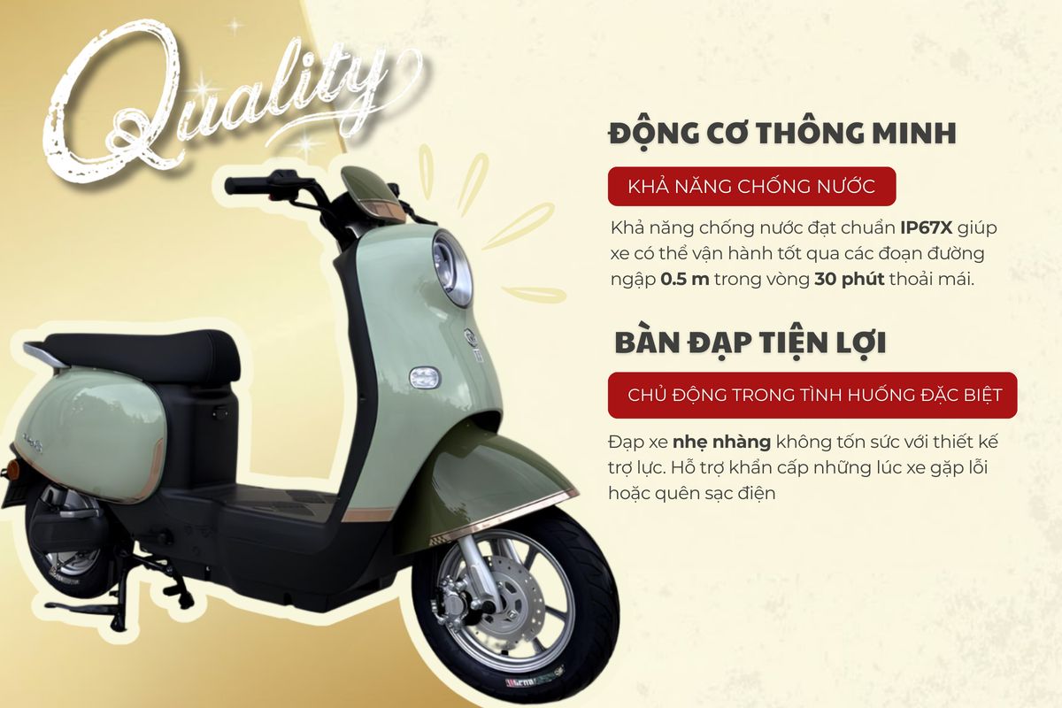 Xe Đạp Điện Dibao Rosa - Thế Giới Xe Điện