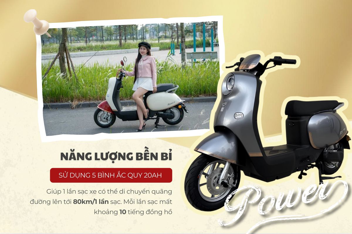 Xe Đạp Điện Dibao Rosa - Thế Giới Xe Điện