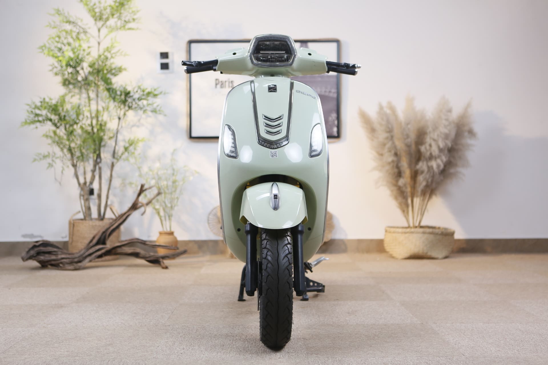 Xe Máy Điện Dibao Pansy Neo S4