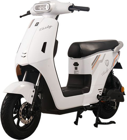 Xe Đạp Điện Tailg GR57