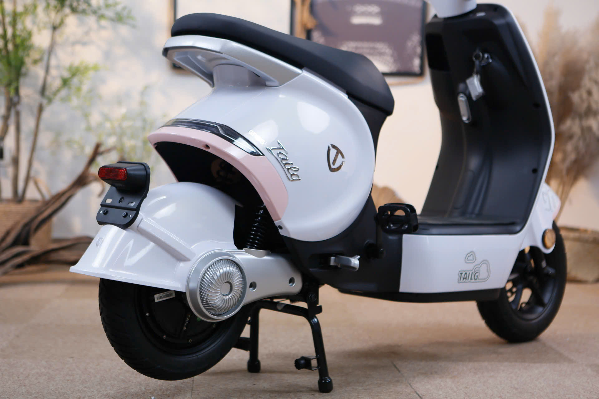 Xe Đạp Điện Tailg GR56