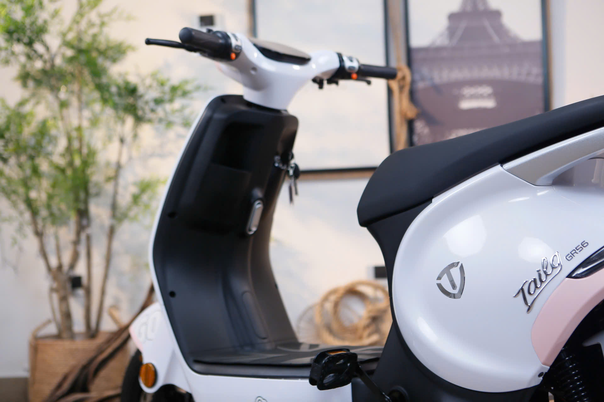 Xe Đạp Điện Tailg GR56
