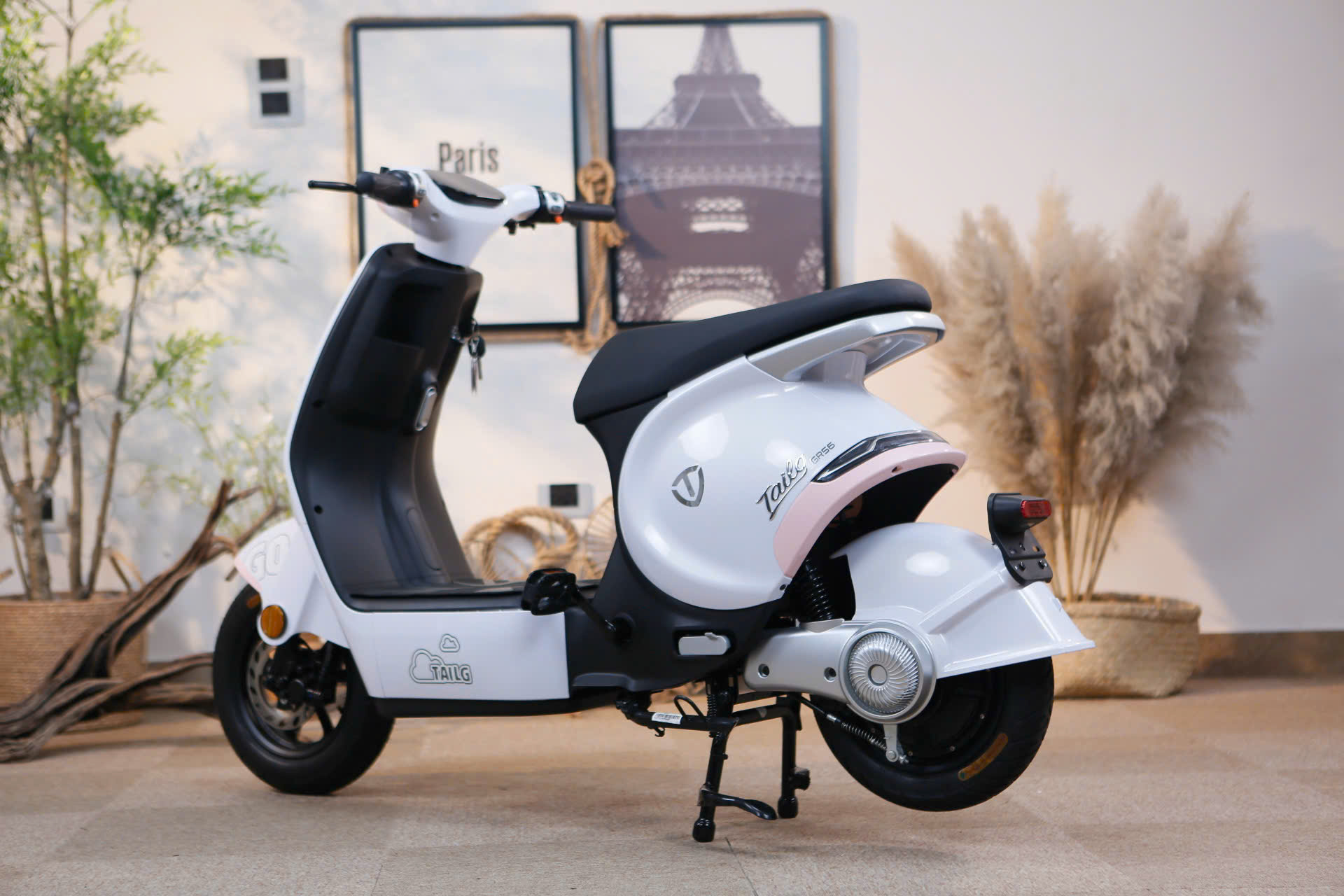 Xe Đạp Điện Tailg GR56