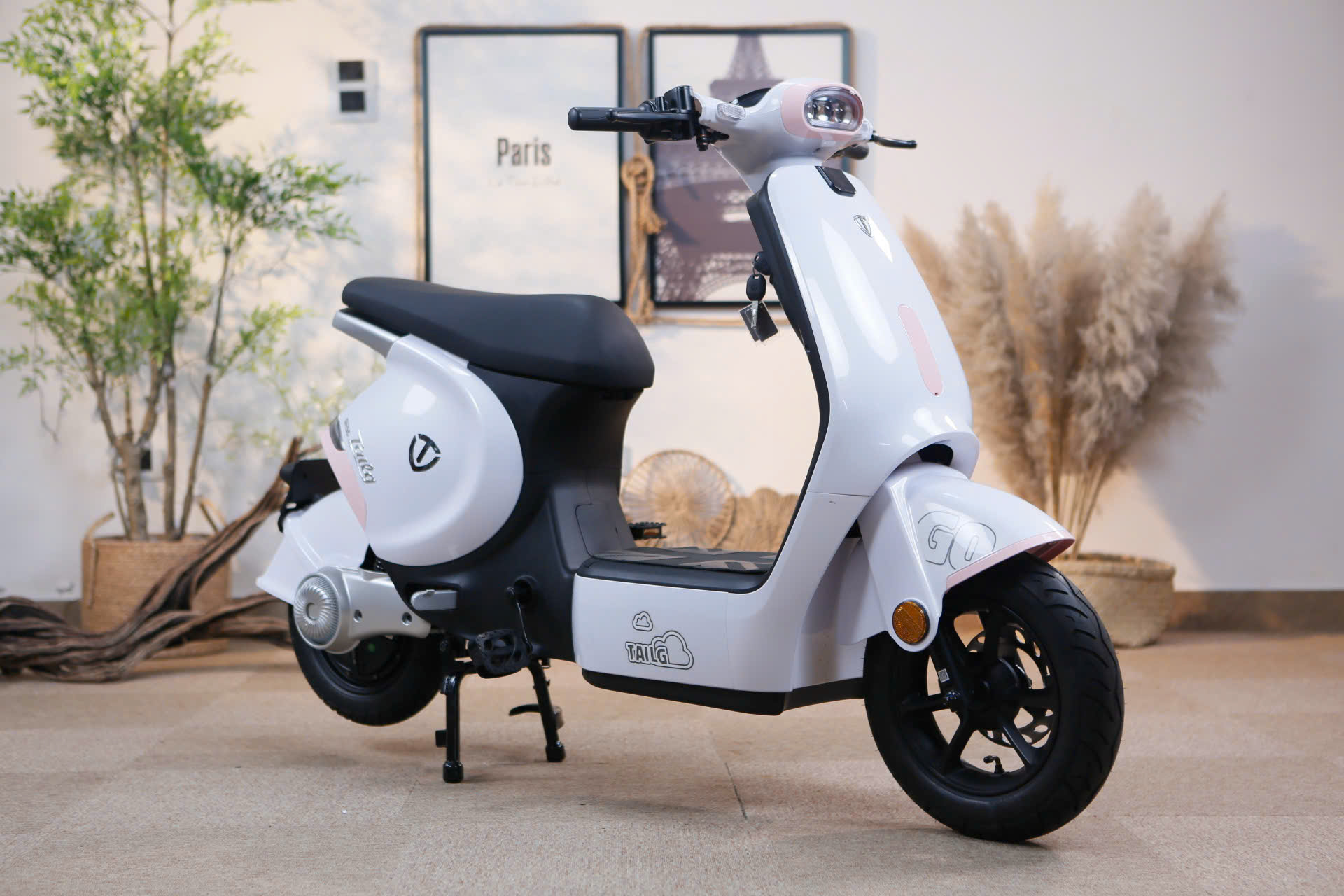 Xe Đạp Điện Tailg GR56