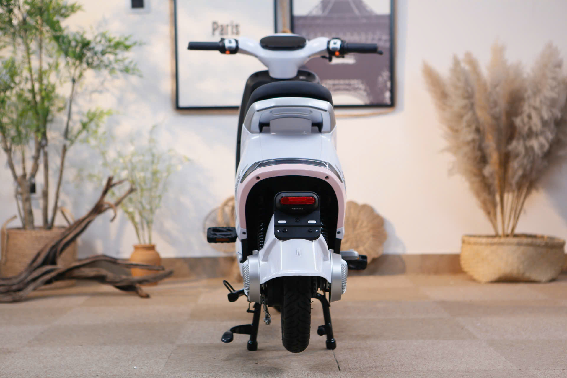 Xe Đạp Điện Tailg GR56