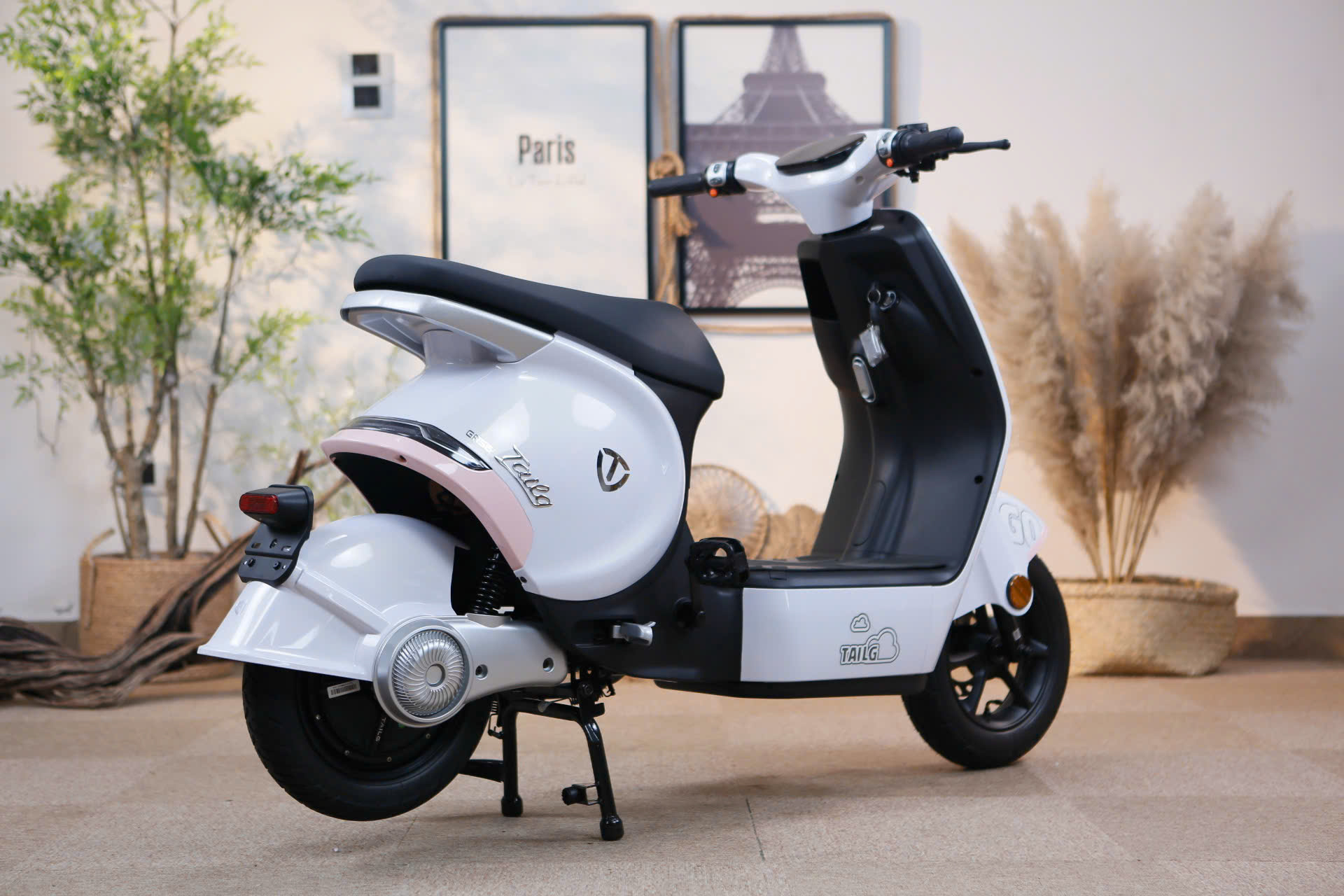 Xe Đạp Điện Tailg GR56