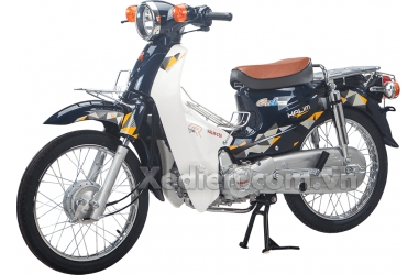 Địa chỉ mua xe máy 50cc Cub Halim Bình Định 2020 chính hãng