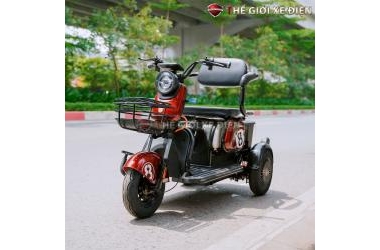 Những mẫu xe máy điện 3 bánh cho người già an toàn nhất