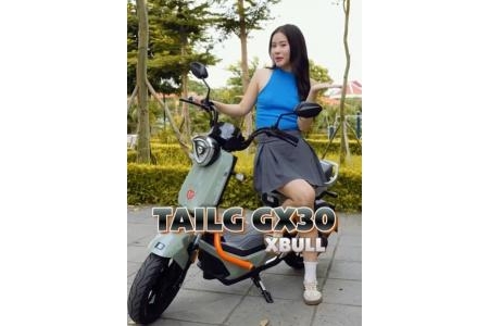 Xe Đạp Điện Tailg GX30 Plus Xbull Chiến Binh Đường Phố Nhỏ Gọn