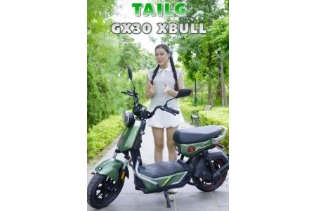 Xe Đạp Điện Tailg GX30 Xbull Nhỏ Gọn Cực Khỏe
