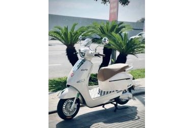 Trải nghiệm xe điện được Việt Hóa tính năng trên Tailg R71