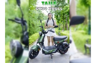 Xe Đạp Điện Tailg GX30 Xbull Chính Hãng Nhỏ Gọn Nhưng Đầy Mạnh Mẽ