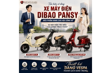 Tìm Hiểu Về Dòng Xe Máy Điện Dibao Pansy - Siêu Phẩm Dành Cho Hội Công Sở