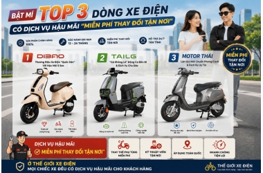 Bật Mí Top 3 Dòng Xe Điện Có Dịch Vụ Hậu Mãi "Miễn Phí Thay Đổi Tận Nơi"