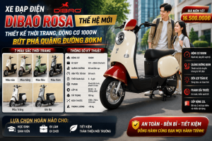 Xe Đạp Điện Dibao Rosa
