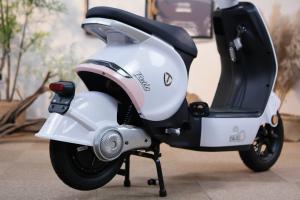 Xe Đạp Điện Tailg GR56