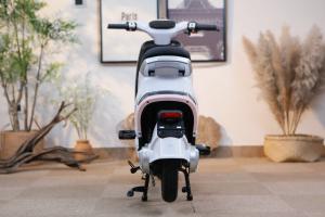 Xe Đạp Điện Tailg GR56