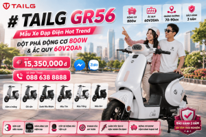 Xe Đạp Điện Tailg GR56