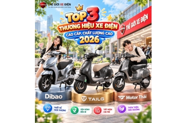 TOP 3 Thương Hiệu Xe Điện Cao Cấp, Chất Lượng Cao 2026: Dibao, TAILG và Motor Thái
